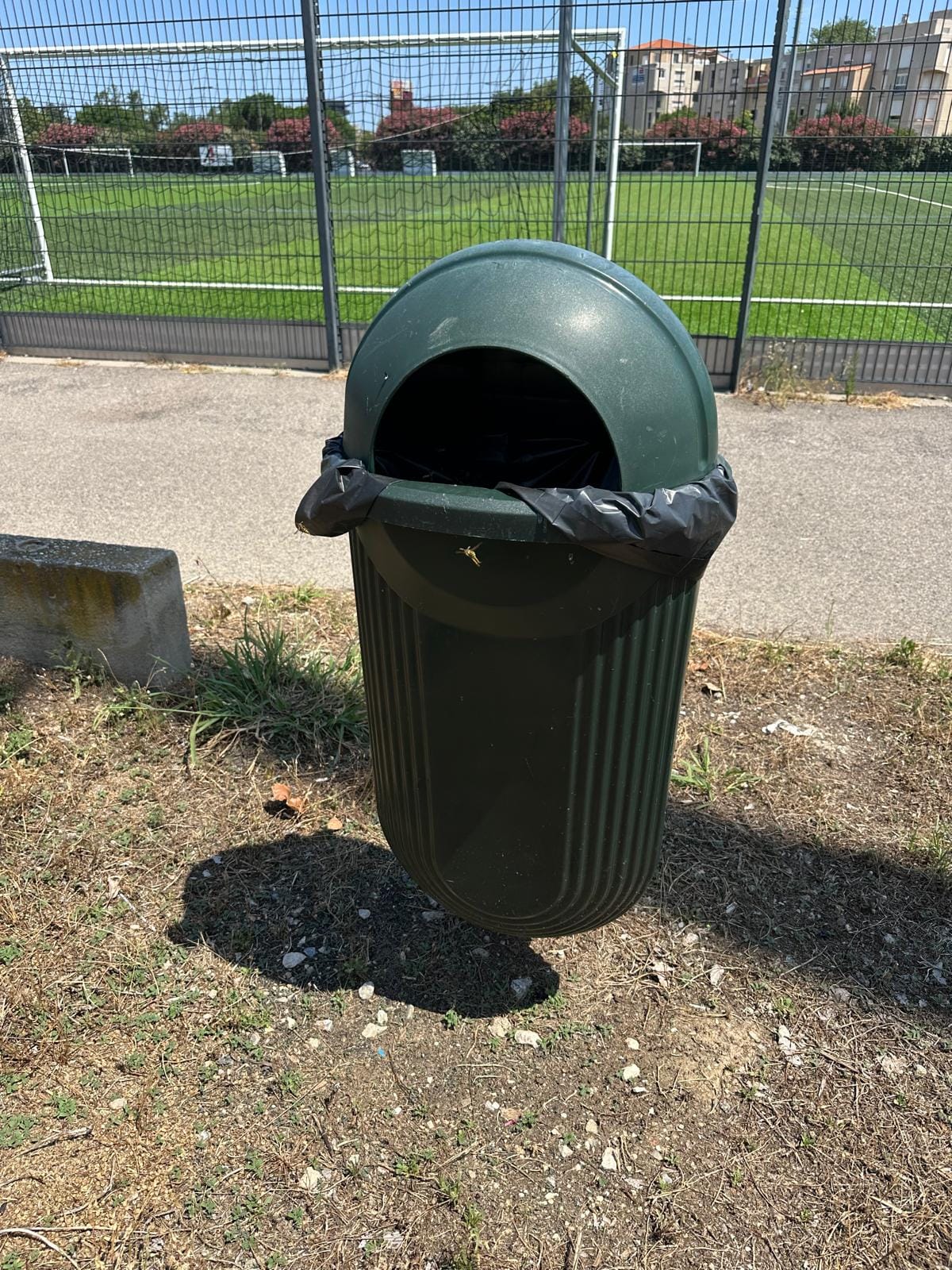Destruction de nid de guêpes — Perpignan